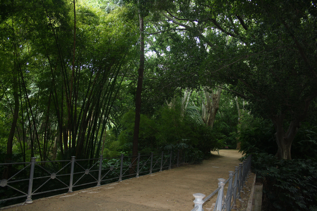 снимка на ботаническата градина в Малага